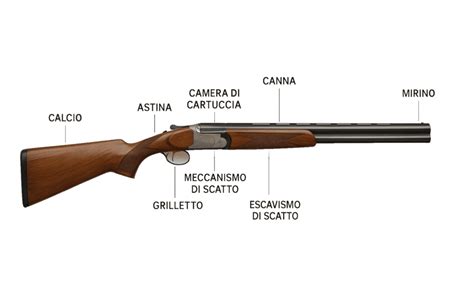 Foto di un fucile da caccia regolarmente detenuto