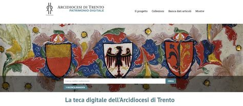 Interfaccia del portale 