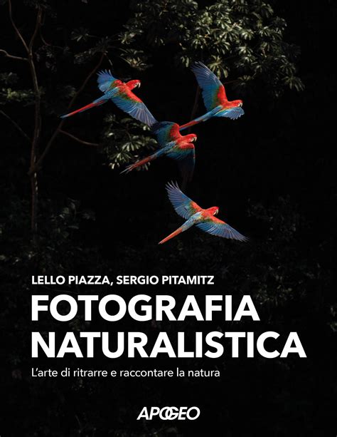 Fotografia naturalistica di un elefante in un ambiente protetto e rigoglioso