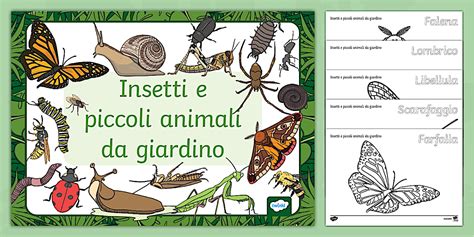 Bambini che imparano sugli insetti utili in un frutteto, con Fatima De Vincentis che spiega