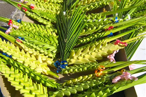 Palma intrecciata per la Domenica delle Palme a Furtei