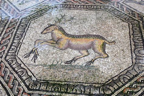 Mosaico pavimentale con la figura del cervo al centro, immagine di Cristo; ai suoi lati una fiera e un drago, simboli del male.