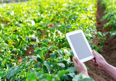 Collage di foto che mostrano diversi tipi di eventi organizzati a 
