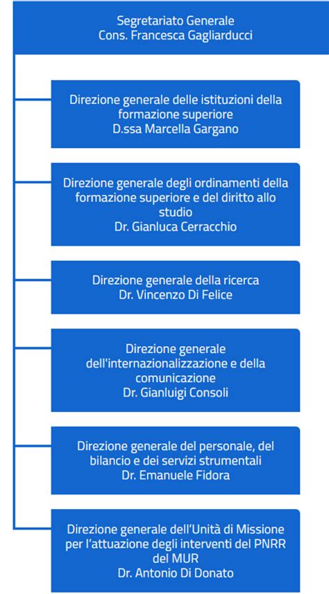 Illustrazione schematica dell'organigramma dell'Università Cattolica NSBC, evidenziando le diverse facoltà e uffici amministrativi.