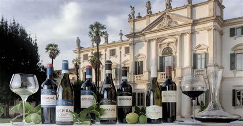Foto di bottiglie di Pràgal Tenuta Santa Maria e vigneti sullo sfondo