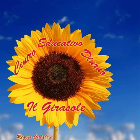Foto panoramica della struttura o logo rappresentativo del Centro Socio Educativo Il Girasole