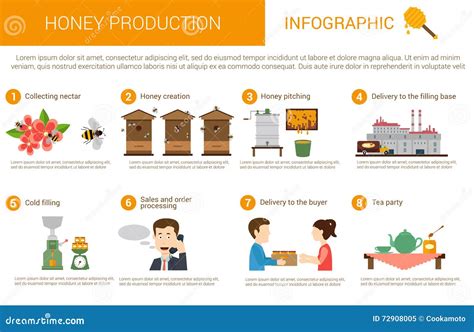 Schema illustrativo del ciclo di produzione del miele: dal nettare dei fiori all'alveare