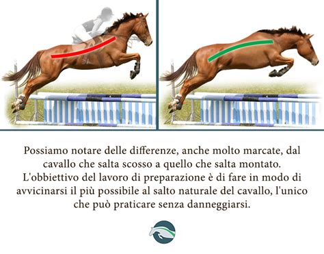 illustrazione del cavallo verdastro e del suo cavaliere dall'Apocalisse