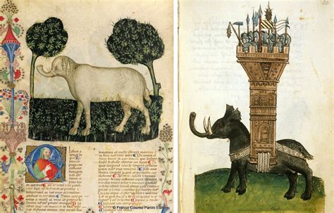Illustrazione di elefante da un manoscritto medievale