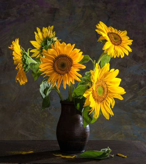 Vaso di girasoli freschi in un ambiente luminoso