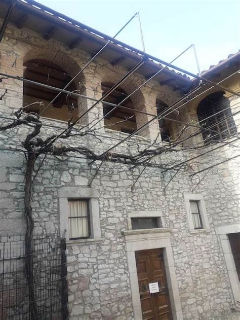 Rappresentazione del miracolo della vite di Santa Rita