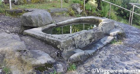Masso avello a Bulciago, con le sue caratteristiche scanalature e la forma simile a una vasca da bagno.