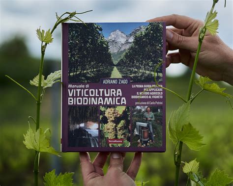 Infografica sulla viticoltura biodinamica presso l'Abbazia Santa Anastasia