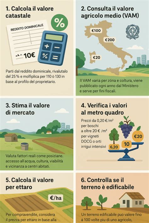 Infografica che spiega come determinare il valore di un francobollo basandosi sull'emissione, lo stato di conservazione e la tiratura