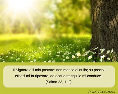 Semplice illustrazione delle tipologie di Salmi (Inni, Suppliche, Ringraziamento, Regali)