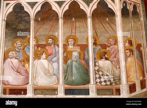 Affresco di Giotto 