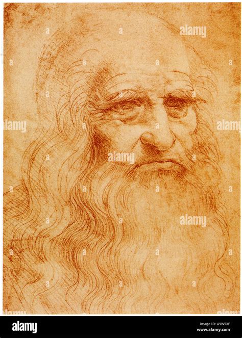 Ritratto di Leonardo da Vinci anziano o autoritratto