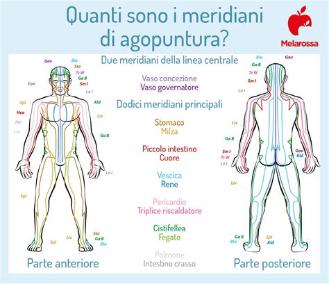 Schema dei punti di agopuntura sulla schiena o sul corpo