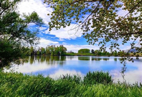 Lago di Falciano del Massico con vegetazione circostante