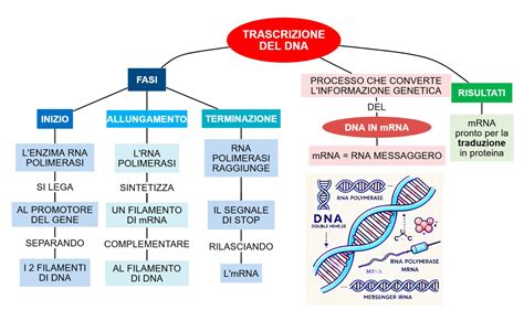 Rappresentazione concettuale di ricerca accademica e pubblicazioni, con libri e articoli scientifici