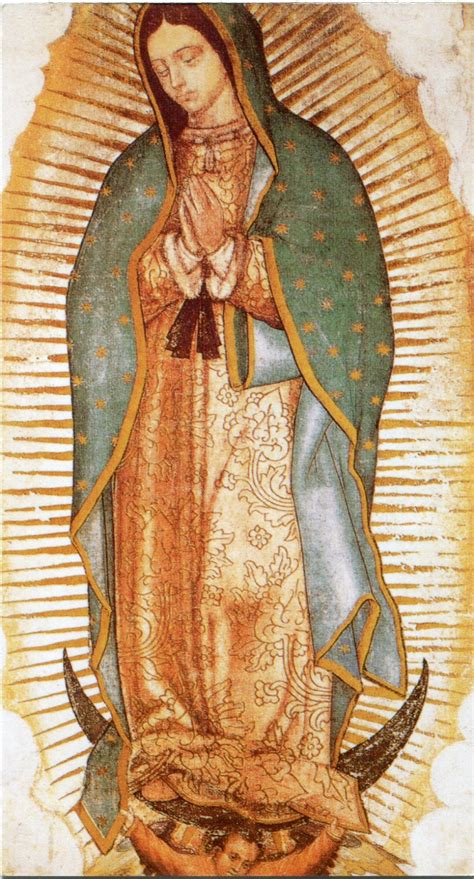 Dettaglio dell'immagine della Madonna di Guadalupe con i suoi simboli