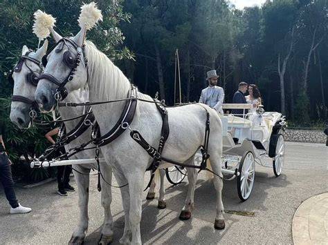 Fotografia di una tradizionale parata di cavalli e calessi in un contesto rurale salentino