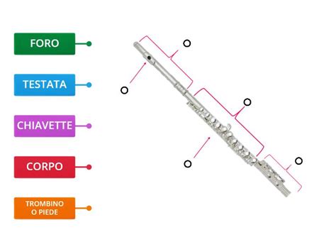 Schema tecnico del flauto traverso moderno con le etichette delle parti principali