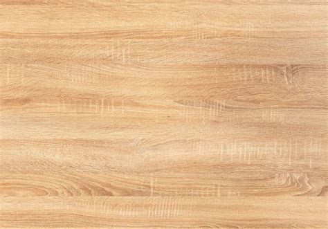 Infografica sulla sostenibilità del legno di rovere