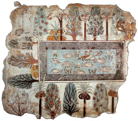 Dettaglio della fauna della Piscina di Nebamon