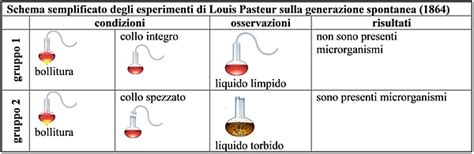 Illustrazione storica degli esperimenti di Pasteur sulla generazione spontanea