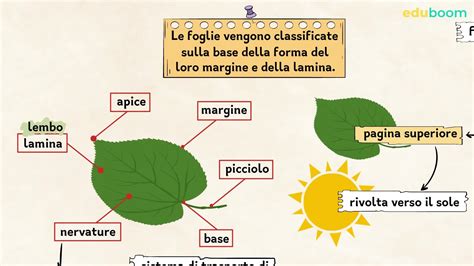Illustrazione di anime che cercano di aggrapparsi a una foglia per salire dall'inferno