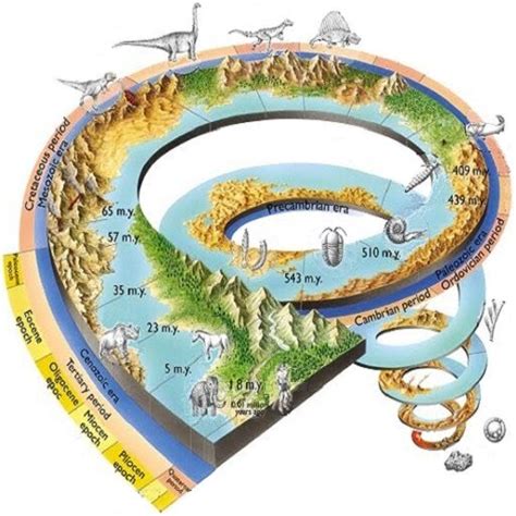 Rappresentazione grafica dell'evoluzione della mascolinità attraverso le epoche