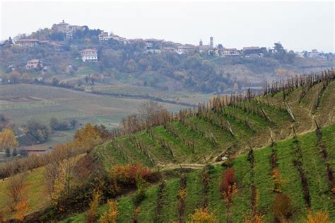Veduta panoramica delle colline del Monferrato astigiano con vigneti