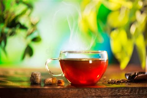tazza di tisana fumante con erbe digestive