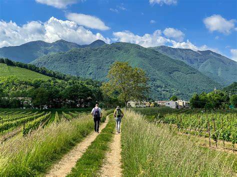 Foto panoramica di un paesaggio bucolico attraversato dal Cammino Sanabrese, con colline verdi e piccoli villaggi.