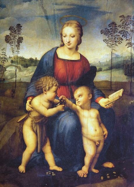 Raffaello Sanzio, Madonna del Cardellino, dettaglio del volto della Vergine prima del restauro