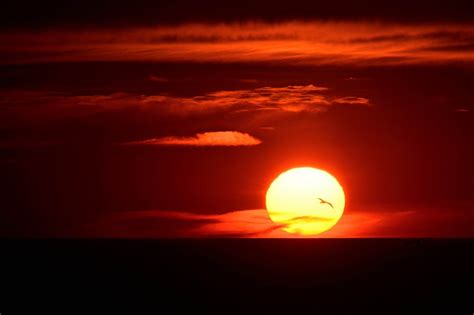 Foto di barche che navigano al tramonto con il sole che cala sull'orizzonte