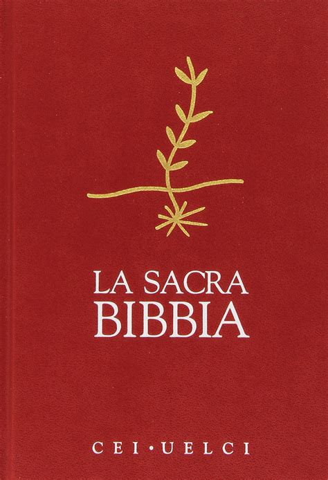 Foto della copertina della Sacra Bibbia, Editrice S.a.i.e., Torino 1973