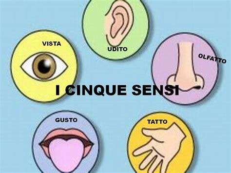 Illustrazione schematica dei cinque sensi e il loro rapporto con l'astinenza