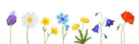 Illustrazione di fiori primaverili e un'immagine stilizzata della Vergine Maria.