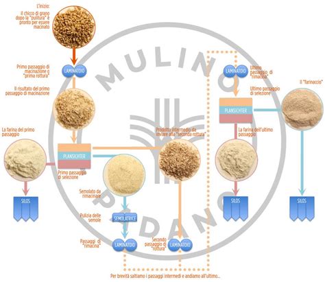 schema infografico della trasformazione del chicco di grano in Pane di Vita