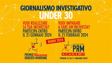 Rappresentazione grafica di riconoscimenti e premi per il giornalismo investigativo