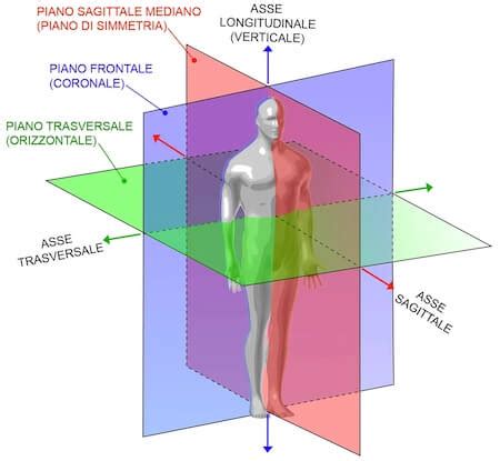 Sezione longitudinale del complesso.