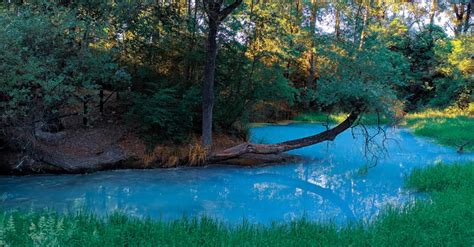 Foto panoramica delle Sorgenti del Torrente Vivo e del paesaggio boschivo circostante