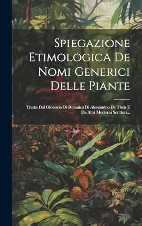 infografica sui nomi e la loro origine etimologica