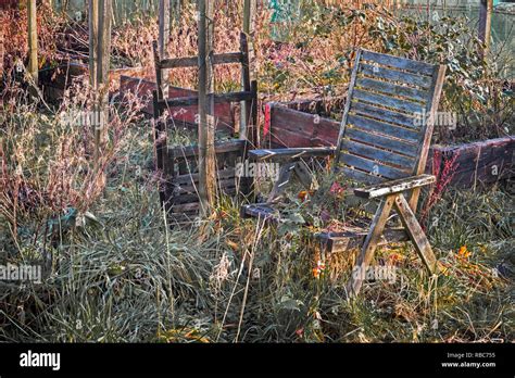 Illustrazione di un giardino abbandonato con erbacce