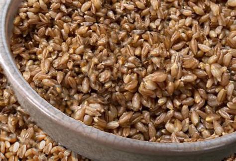 Piatto tipico con tartufo e farro della Valnerina