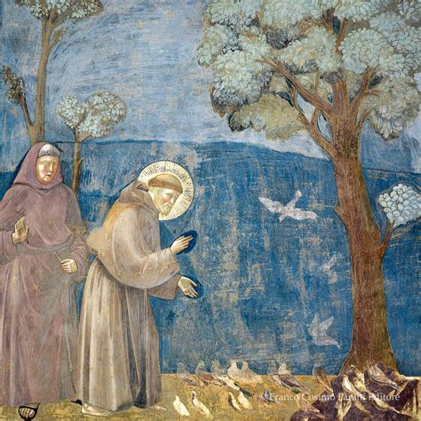 San Francesco che predica agli uccelli in un campo verde