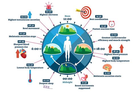 Grafico che mostra l'intensità solare nelle diverse ore del giorno