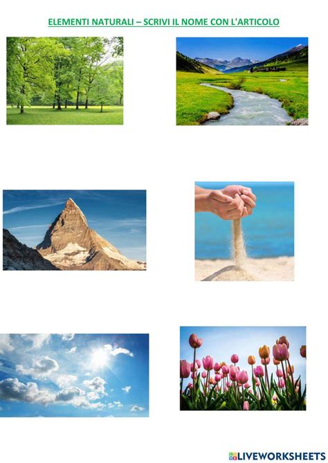 Illustrazione simbolica del viaggio di Wilhelm Meister attraverso paesaggi variegati, con elementi naturali e architettonici che rappresentano le diverse fasi della sua formazione.